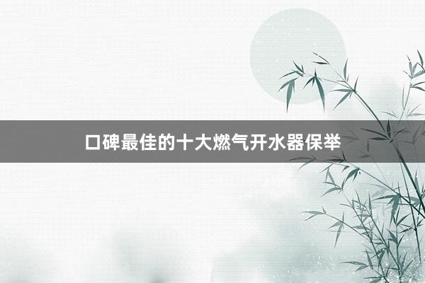 口碑最佳的十大燃气开水器保举