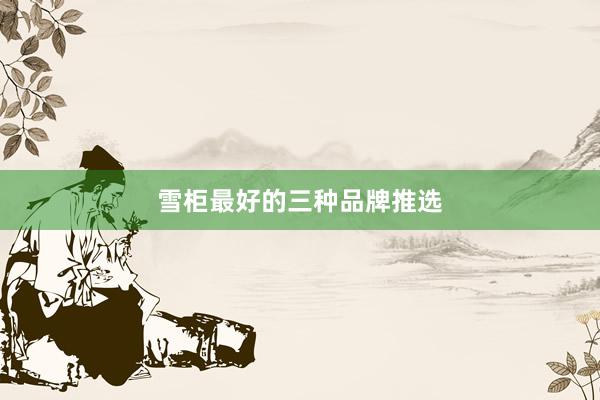 雪柜最好的三种品牌推选
