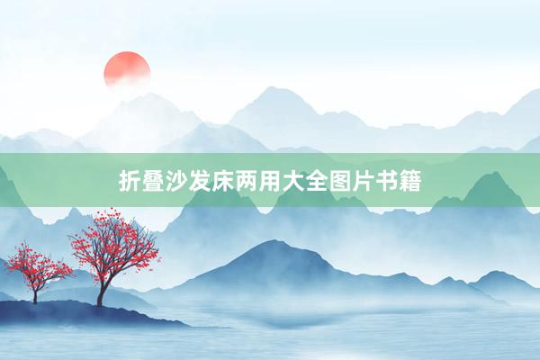 折叠沙发床两用大全图片书籍